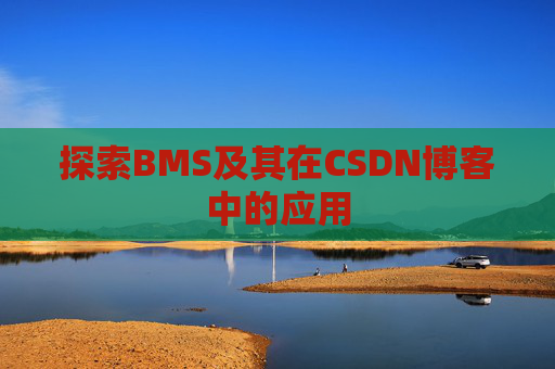 探索BMS及其在CSDN博客中的应用